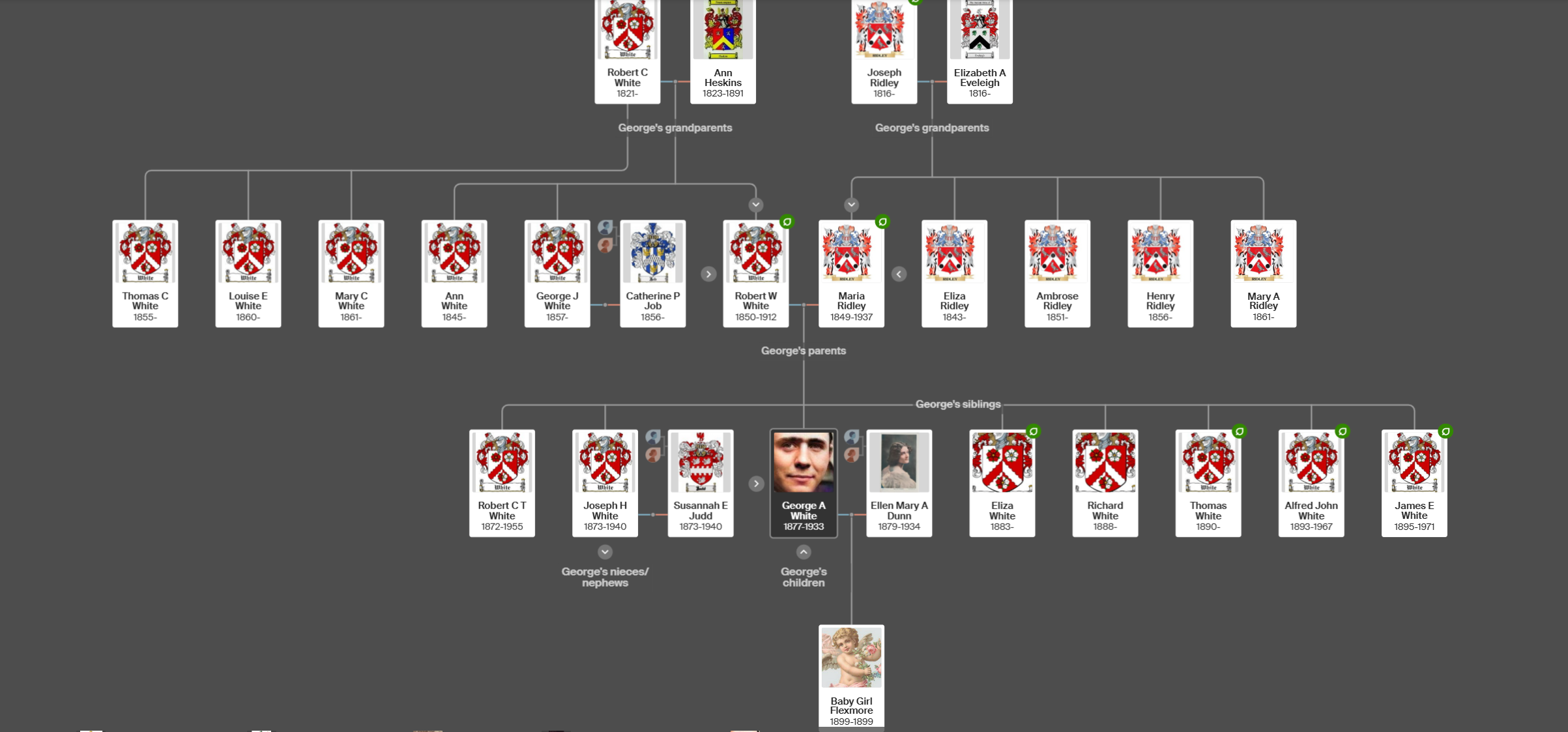 George Ambrose White Family Tree — Ancestry.co.uk